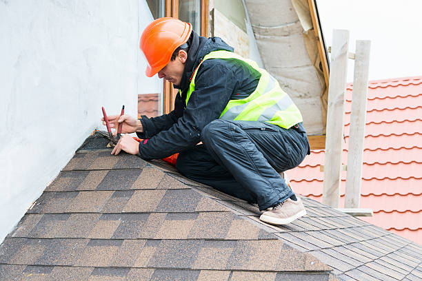 Best Roof Leak Repair  in Havana, IL